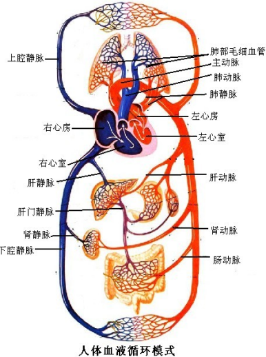 图片14.png